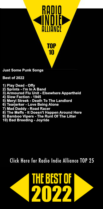 RIA Best Of 2022_Just Some Punk Songs