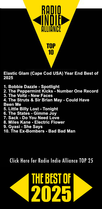 Best of 2025 - Elastic Glam (Cape Cod, USA)